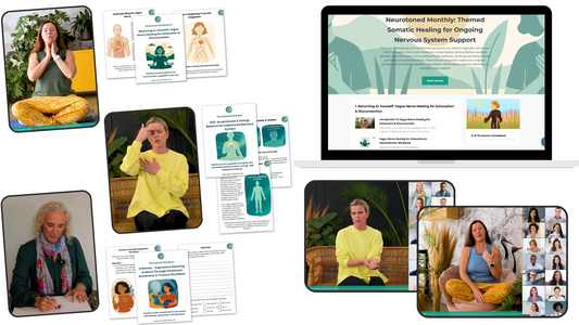 "Yes! Give me lifetime access. to 6 nervous system healing programs for the price of 1 (80% Off)"